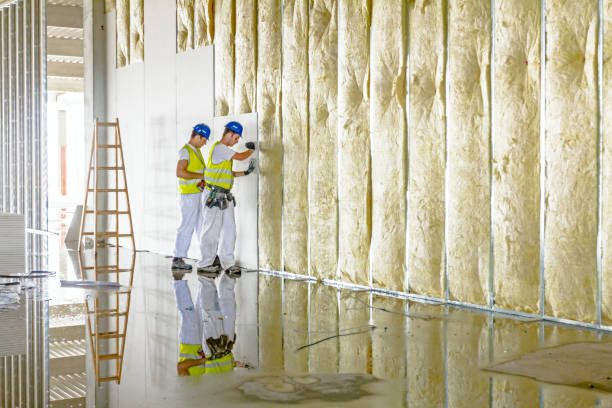 Professional Insulation Contractor in Mount Washington, KY